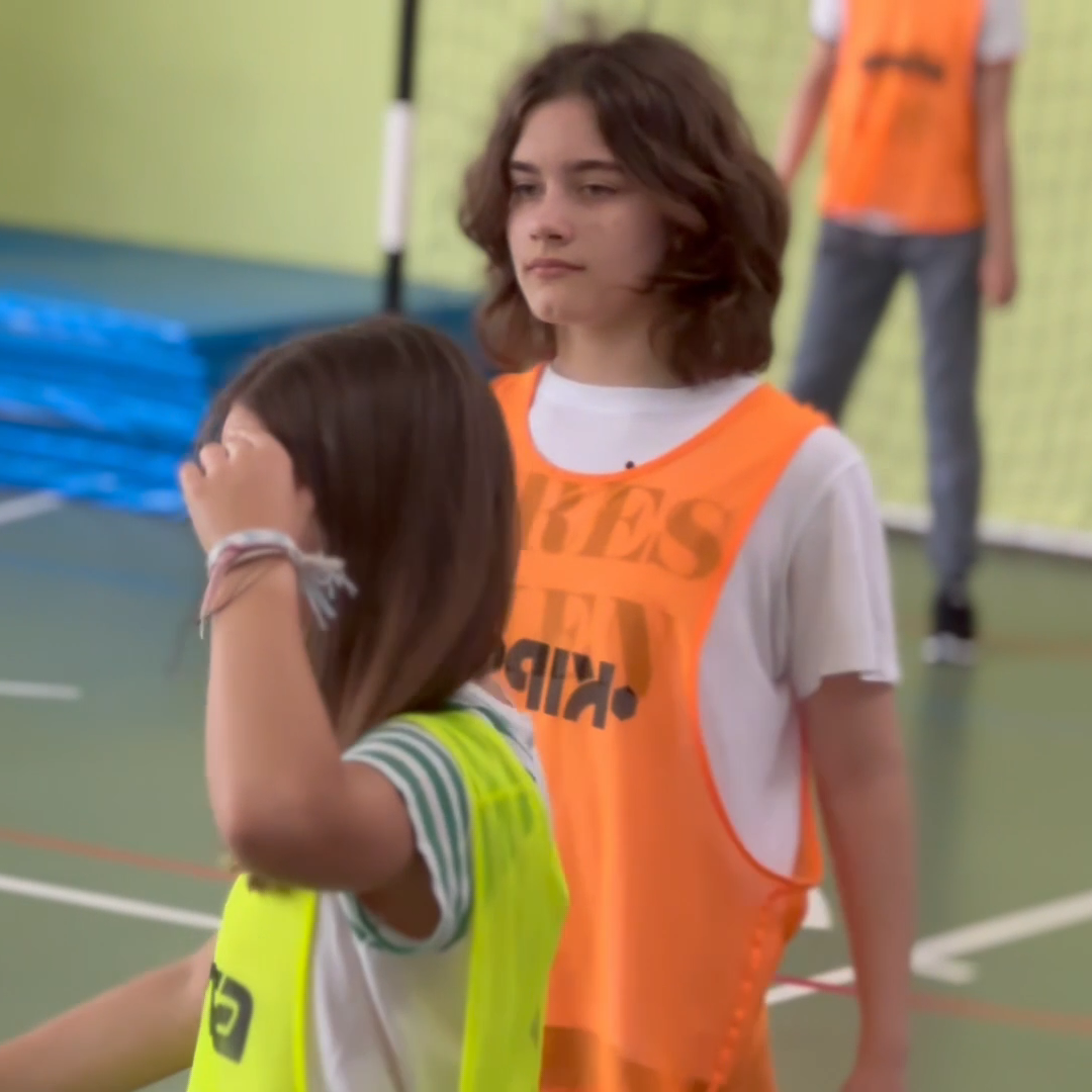 Ensino Básico 3º Ciclo